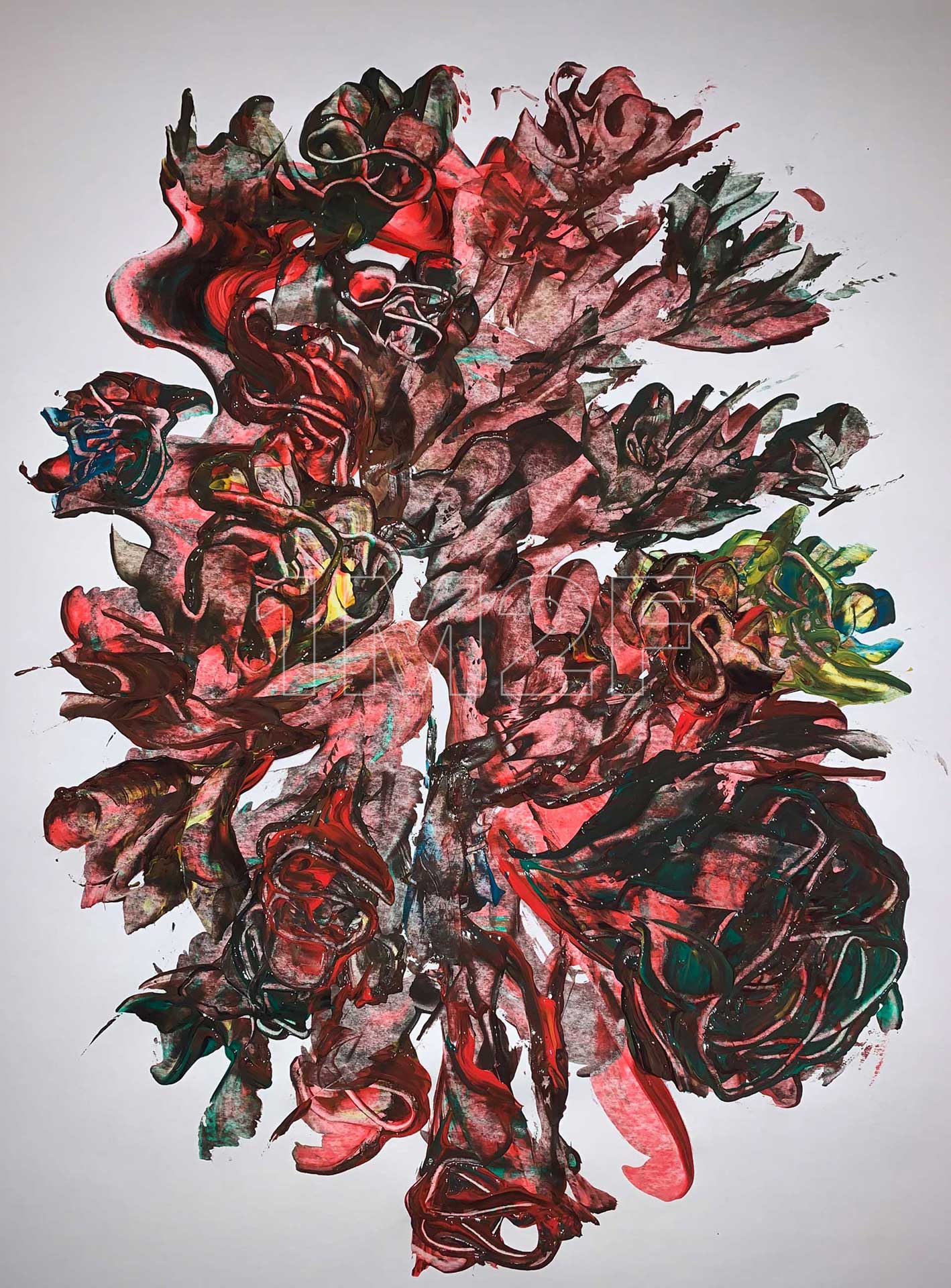 Hippocampus