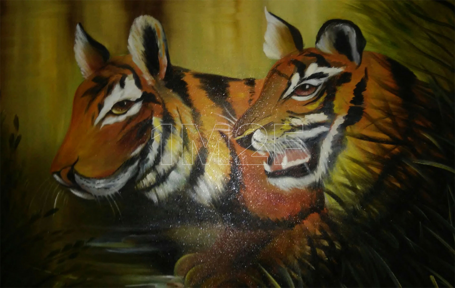 Tigers
